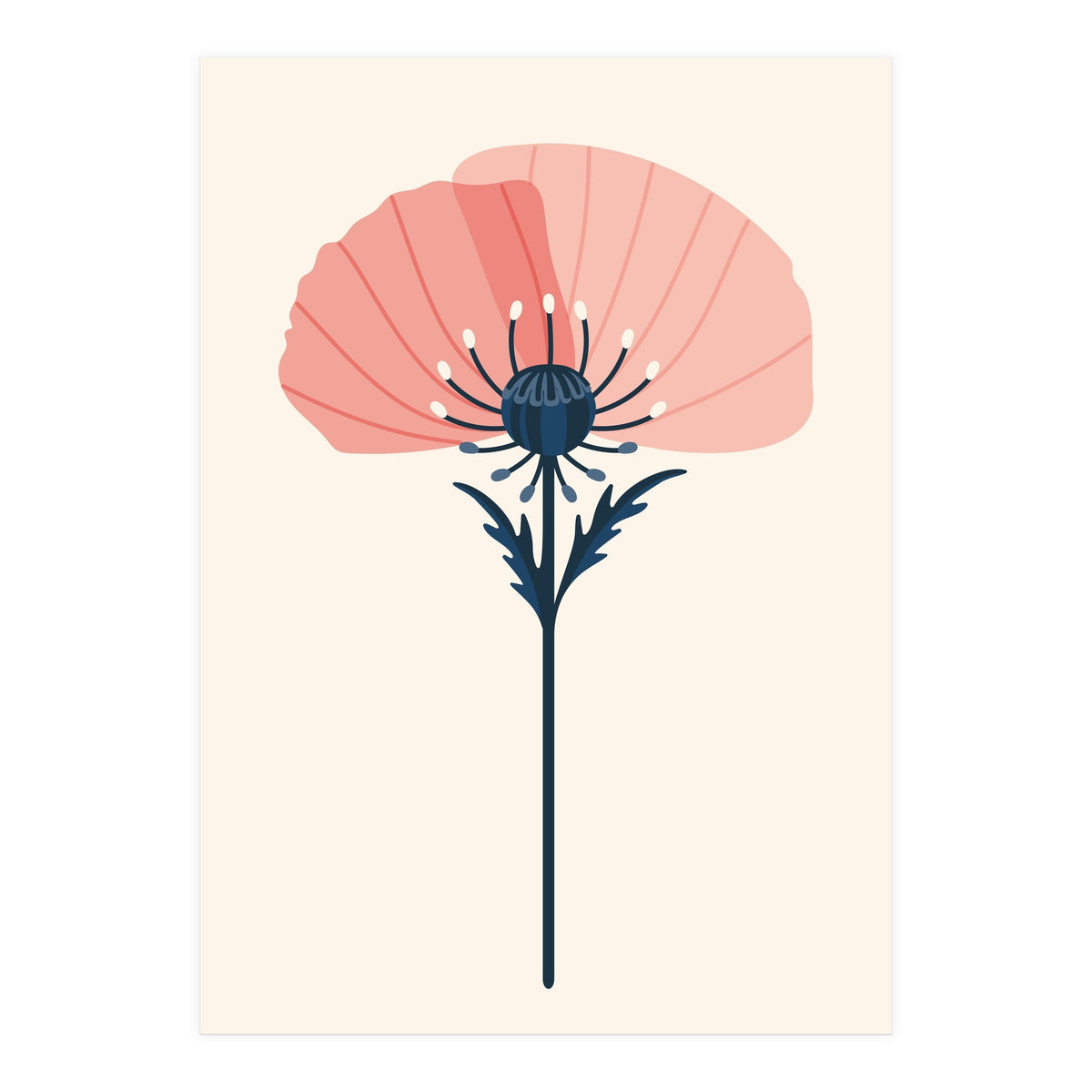 Pink Half Poppy (Print Only)