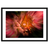 Backyard Flowers No 40 Color Flow Version thumbnail