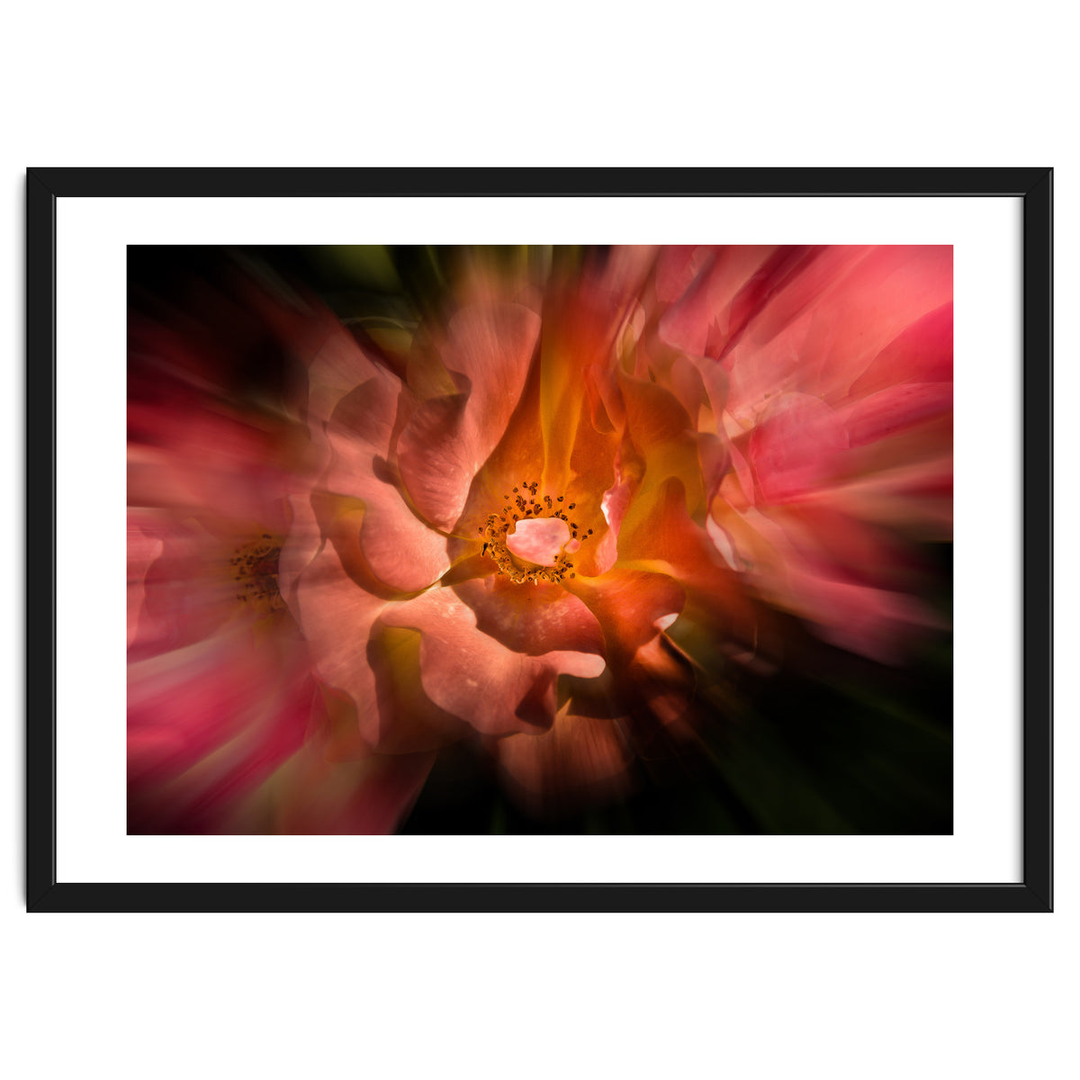 Backyard Flowers No 40 Color Flow Version