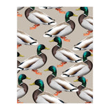 Mallards (Print Only) thumbnail