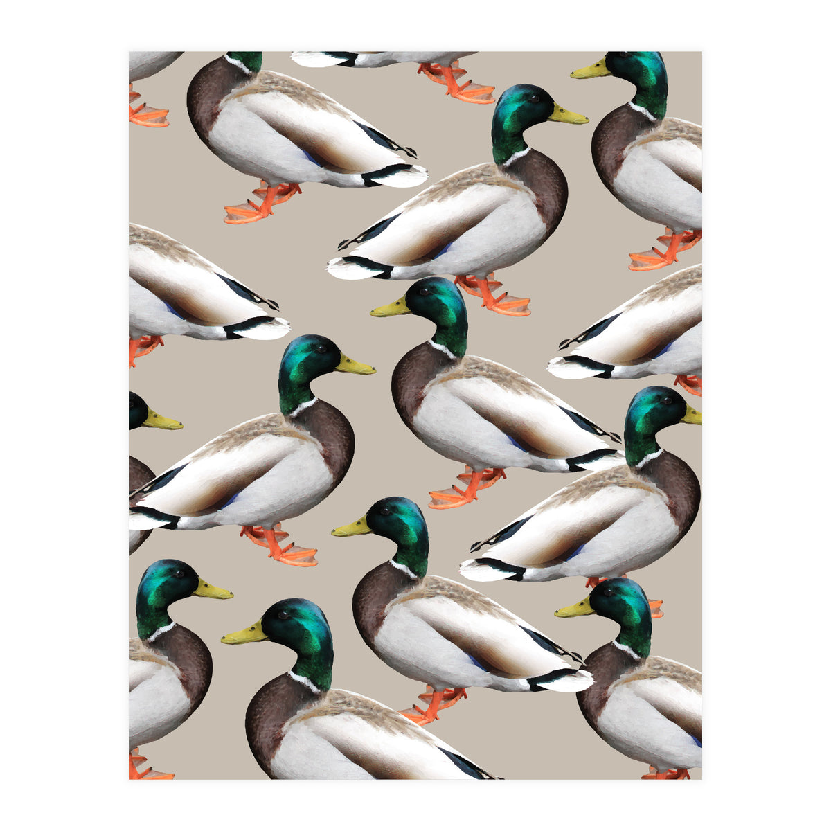 Mallards (Print Only)