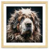 Old Dog 01 thumbnail