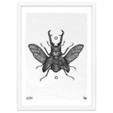 Giraffen Hirschkäfer thumbnail