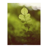 Out of the green (Print Only) thumbnail