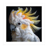 Beautiful Cockatoo Parrot Portrait Headshot (Print Only) thumbnail