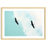 Crane(s) V thumbnail