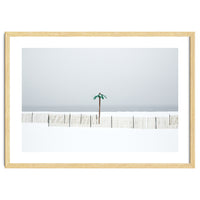 Fake palm tree in the winter snow beach