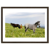 Equine Family thumbnail