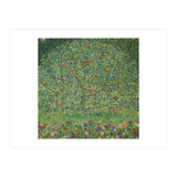Apple Tree I, 1911 or 1912. Estates of Ferdinand and Adele Bloch-Bauer. (Print Only) thumbnail