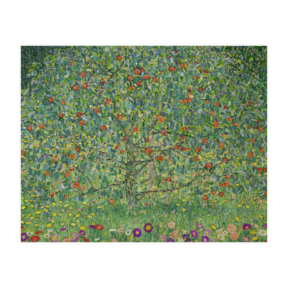 Apple Tree I, 1911 or 1912. Estates of Ferdinand and Adele Bloch-Bauer. (Print Only)