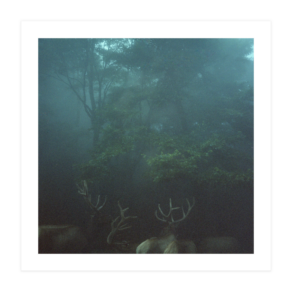 Silence of breath - 12 (Print Only)