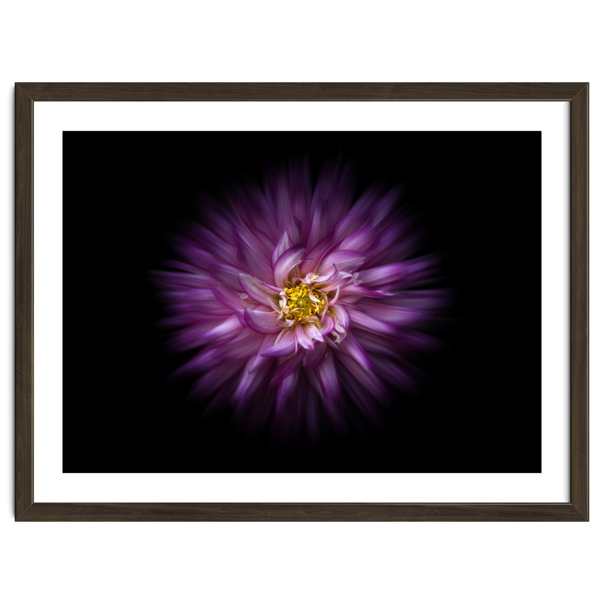 Backyard Flowers No 20 Color Flow Version