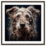 Old Dog 09 thumbnail