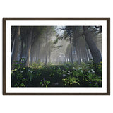 Art In The Forest thumbnail