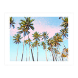 Coconut Palms #society6 #decor #buyart (Print Only) thumbnail