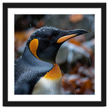 King Penguin In Rain With Water Drops thumbnail