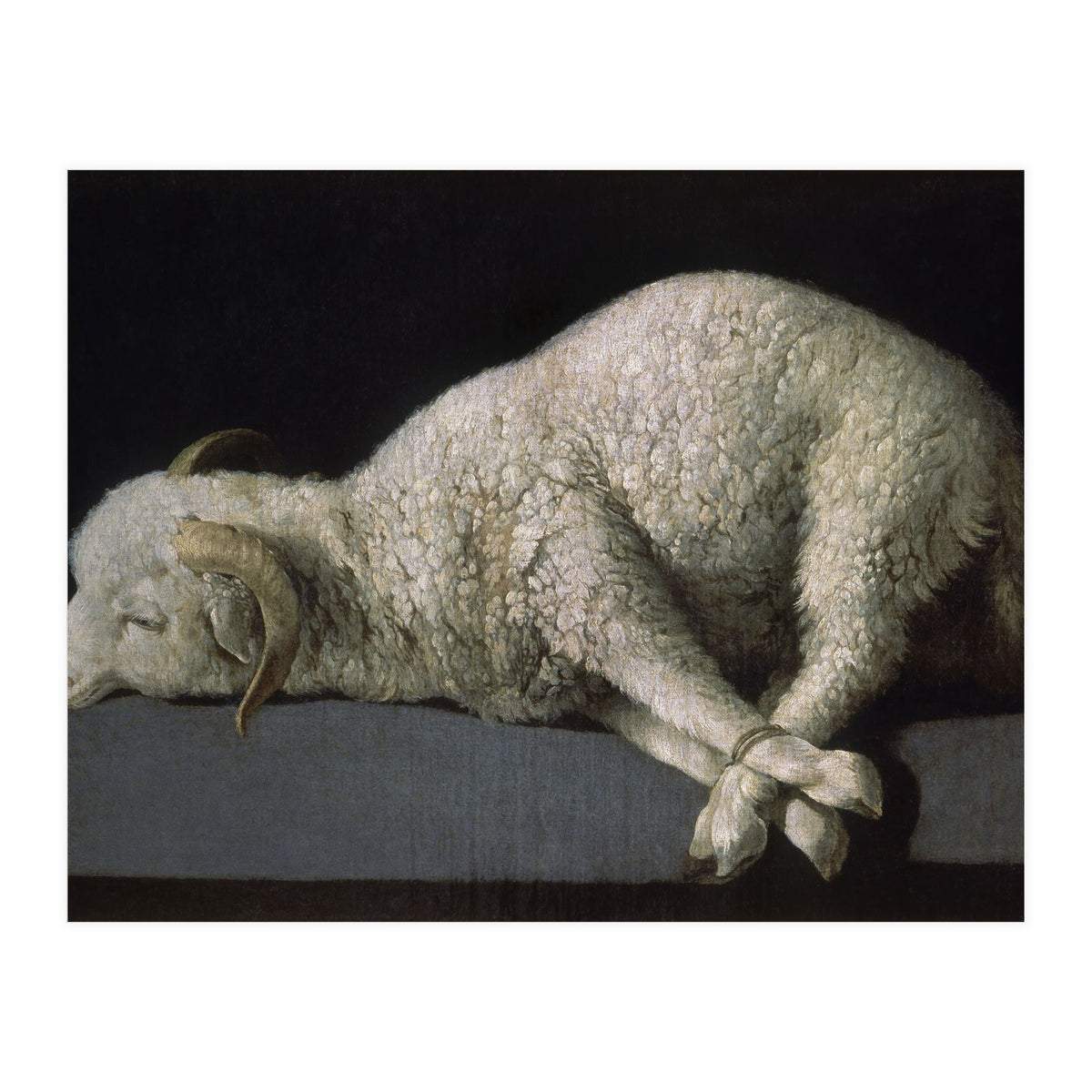 Agnus Dei - ca.1635-40 - oil on canvas - 37,3 x 62 cm - Spanish Baroque - NP 7293. (Print Only)