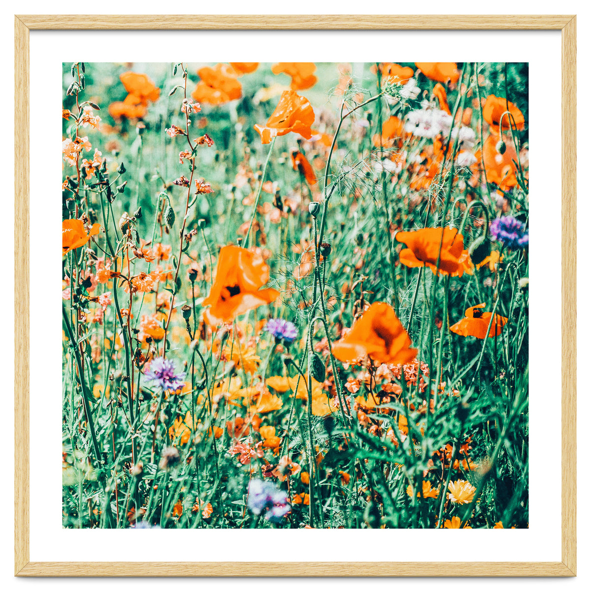 Eva | Nature Floral Meadow Garden | Photography Botanical Spring Bohemian Flowers