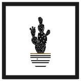 Black Cactus thumbnail
