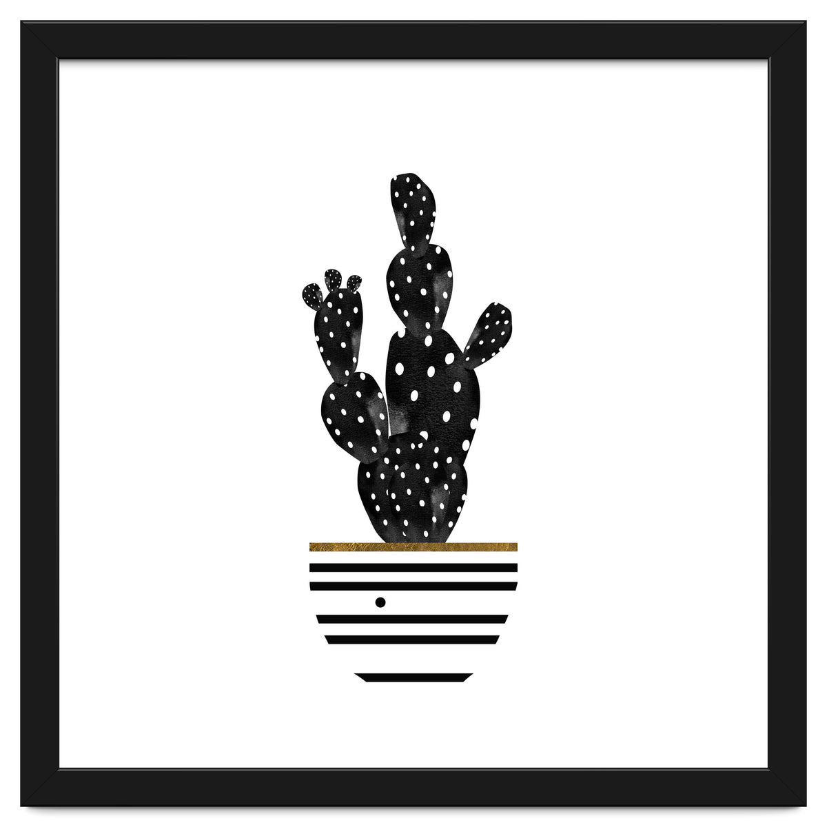 Black Cactus