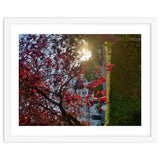 Autumn’s Embrace thumbnail