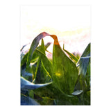 Hope With Abstraction (Print Only) thumbnail