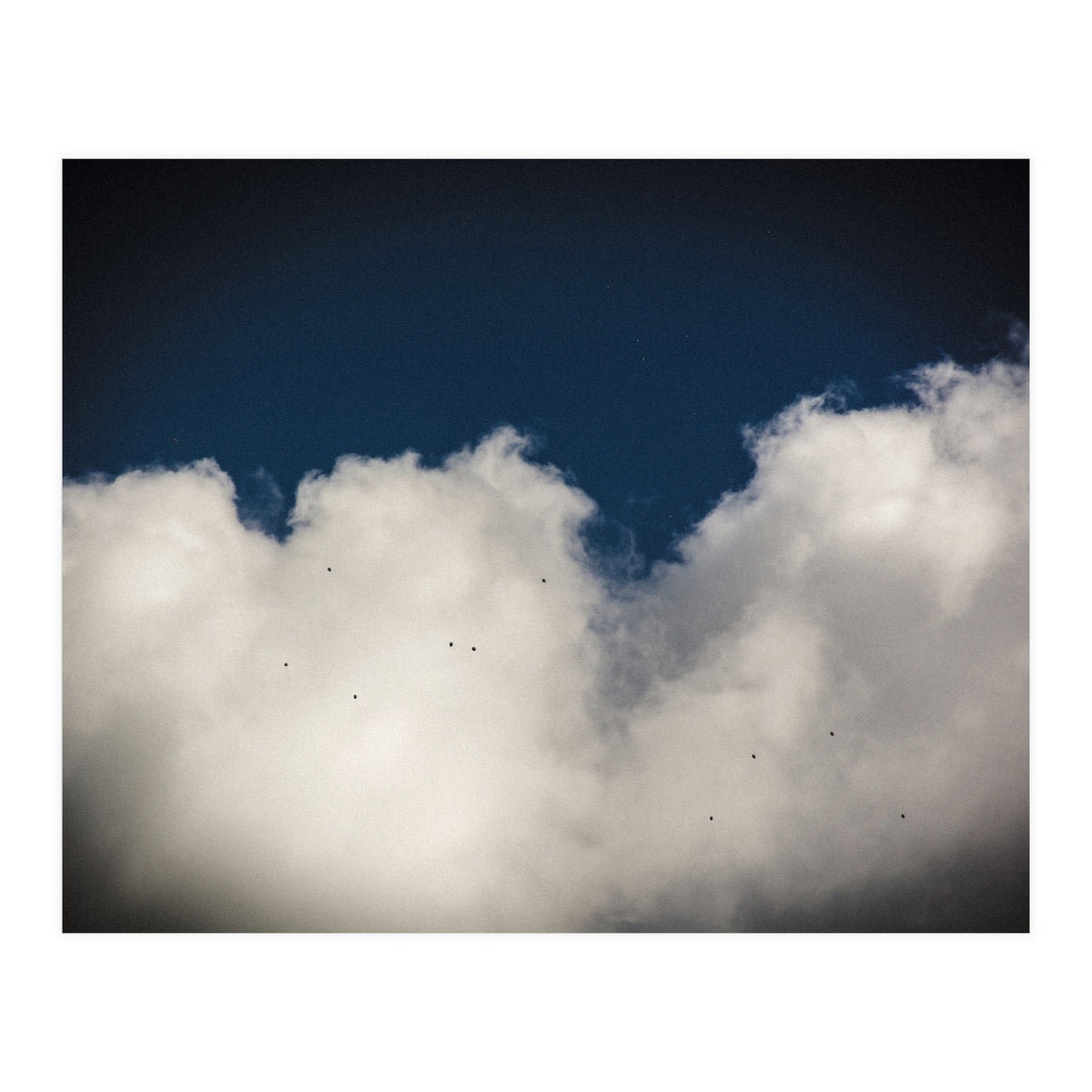 Balloons (Print Only)