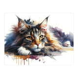 Maine Coon Resting Portrait (Print Only) thumbnail