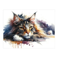 Maine Coon Resting Portrait (Print Only)