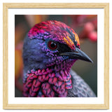 Vibrant Exotic Bird Detailed Feather Close Up thumbnail