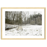 White horse in the snow field thumbnail