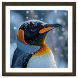 King Penguin Close Up In Snowy Environment thumbnail