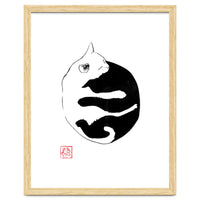 Ying yang Cat
