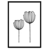 Two wildflowers thumbnail