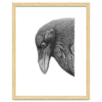 Huginn