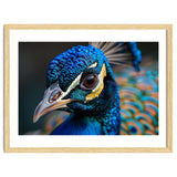Close Up Of A Peacock Head And Eye thumbnail