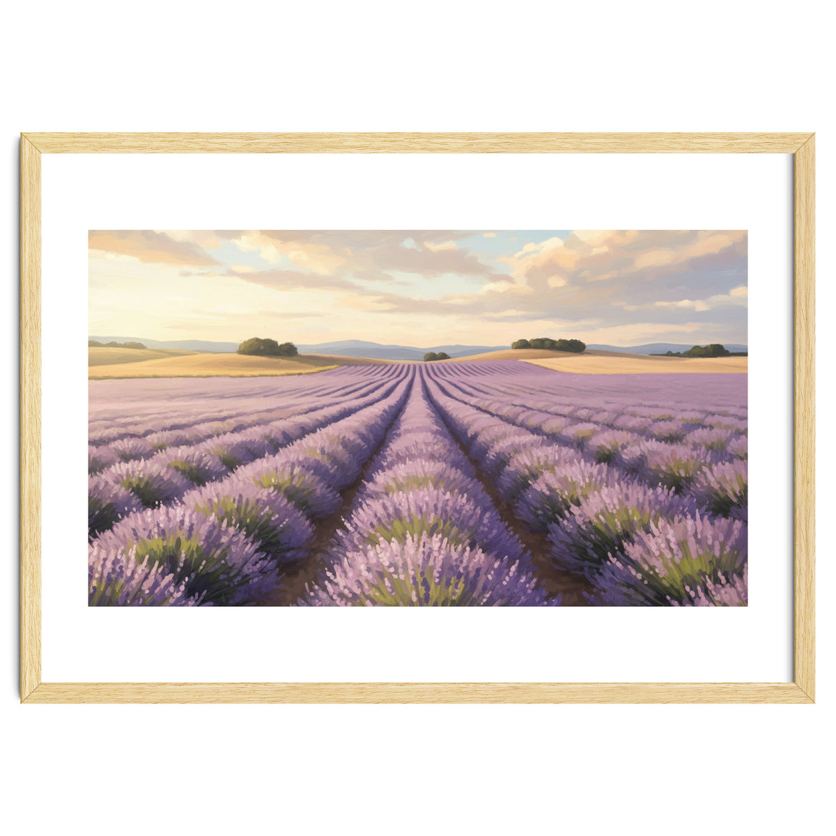 Provençal Sunset: Lavender Field Landscape