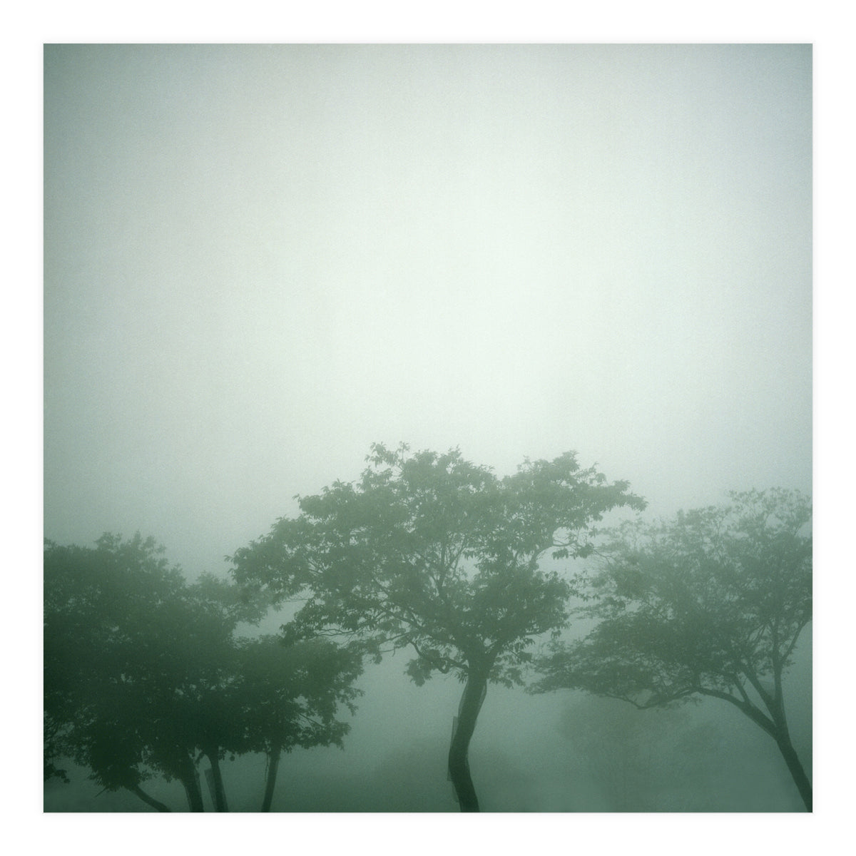 Silence of breath - 17 (Print Only)