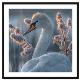 Swan Portrait Dew Drops Morning Light thumbnail