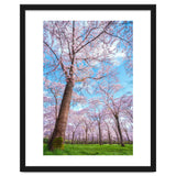 Spring in optima forma thumbnail