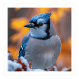 Blue Jay Bird In Winter Snowfall And Leaves (Print Only) thumbnail
