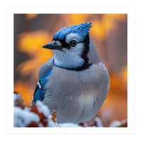 Blue Jay Bird In Winter Snowfall And Leaves (Print Only)