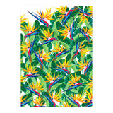 Summer Strelitzia (Print Only) thumbnail