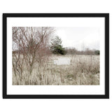 Abandoned Sofa in the middle of nowhere thumbnail
