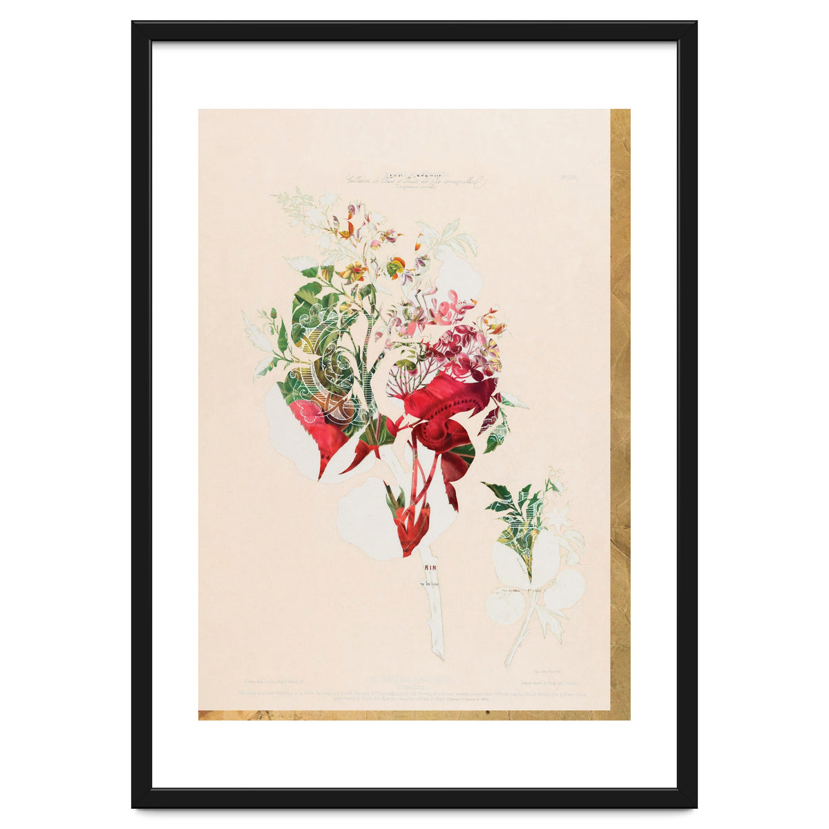 The First Plant · Aufbluehen