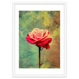 A Vibrant Red Rose thumbnail