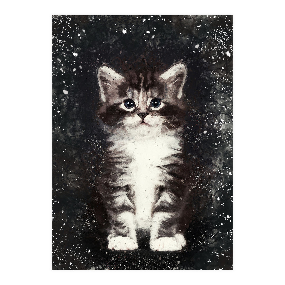 Bicolor Cute Kitten Portrait (Print Only)