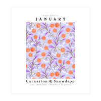 Carnation & Snowdrop January Birth Flower (Print Only)