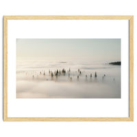 Misty Peaks: Pine Forest Above the Clouds
