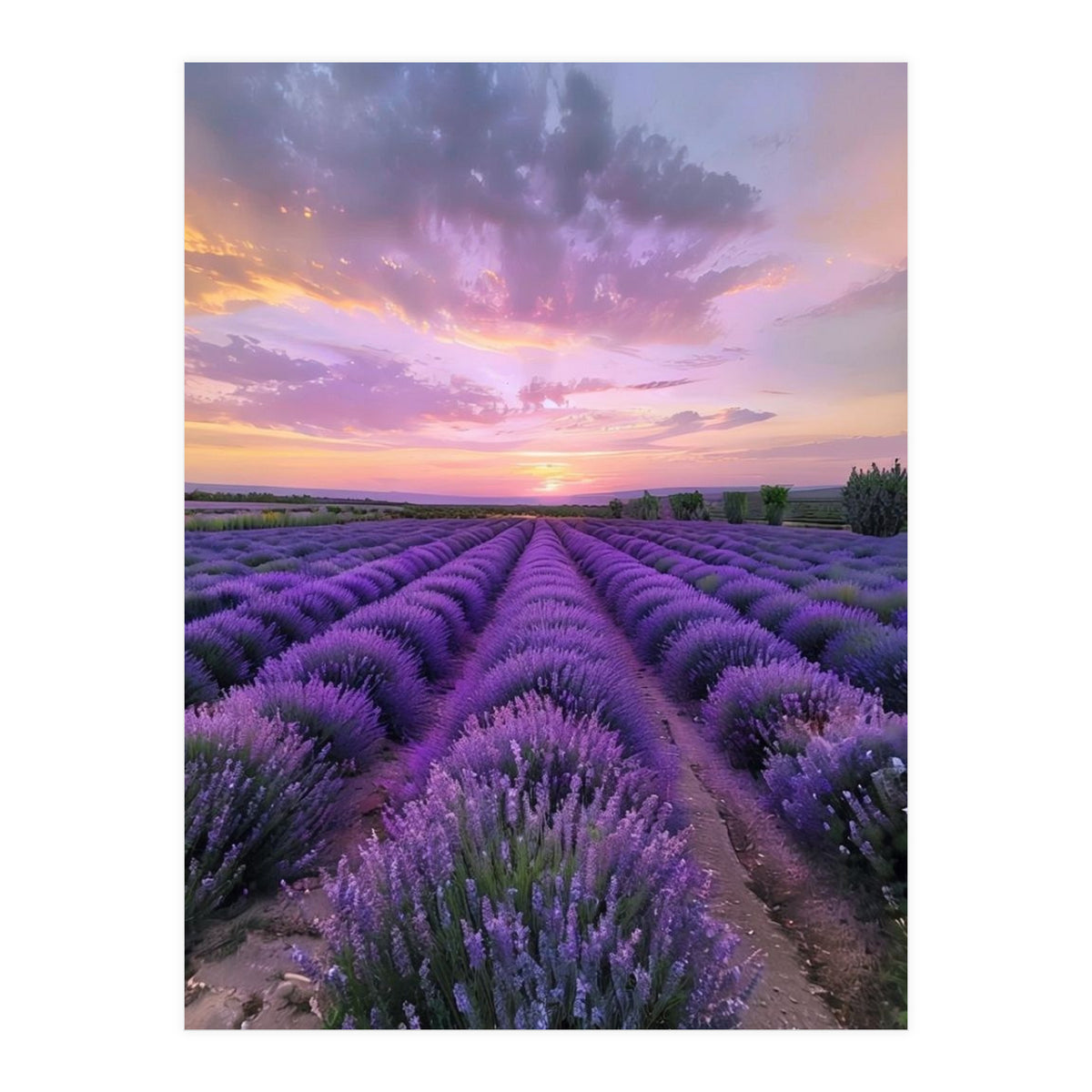 Infinite Horizons (Print Only)